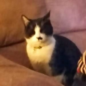 Meet your Posher, Ingrid